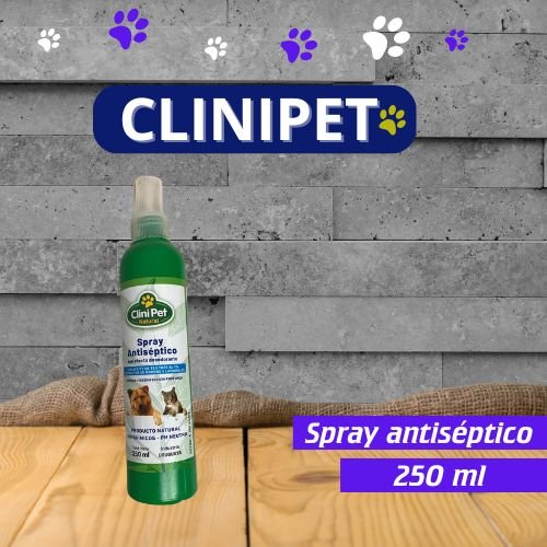 Spray antiséptico desodorante 250 ml