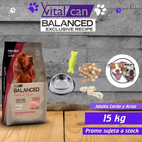 Balanced Perro Adulto Cerdo y Arroz 15 kg