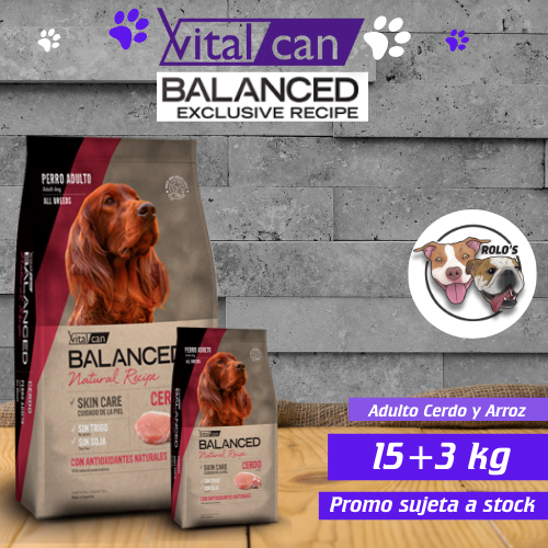 COMBO Balanced Adulto Cerdo y Arroz 15+3 kg