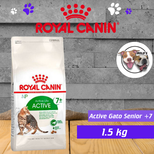 Royal Canin Gato Active Senior +7