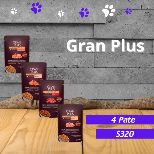 4 Pate Gran Plus Para Perro