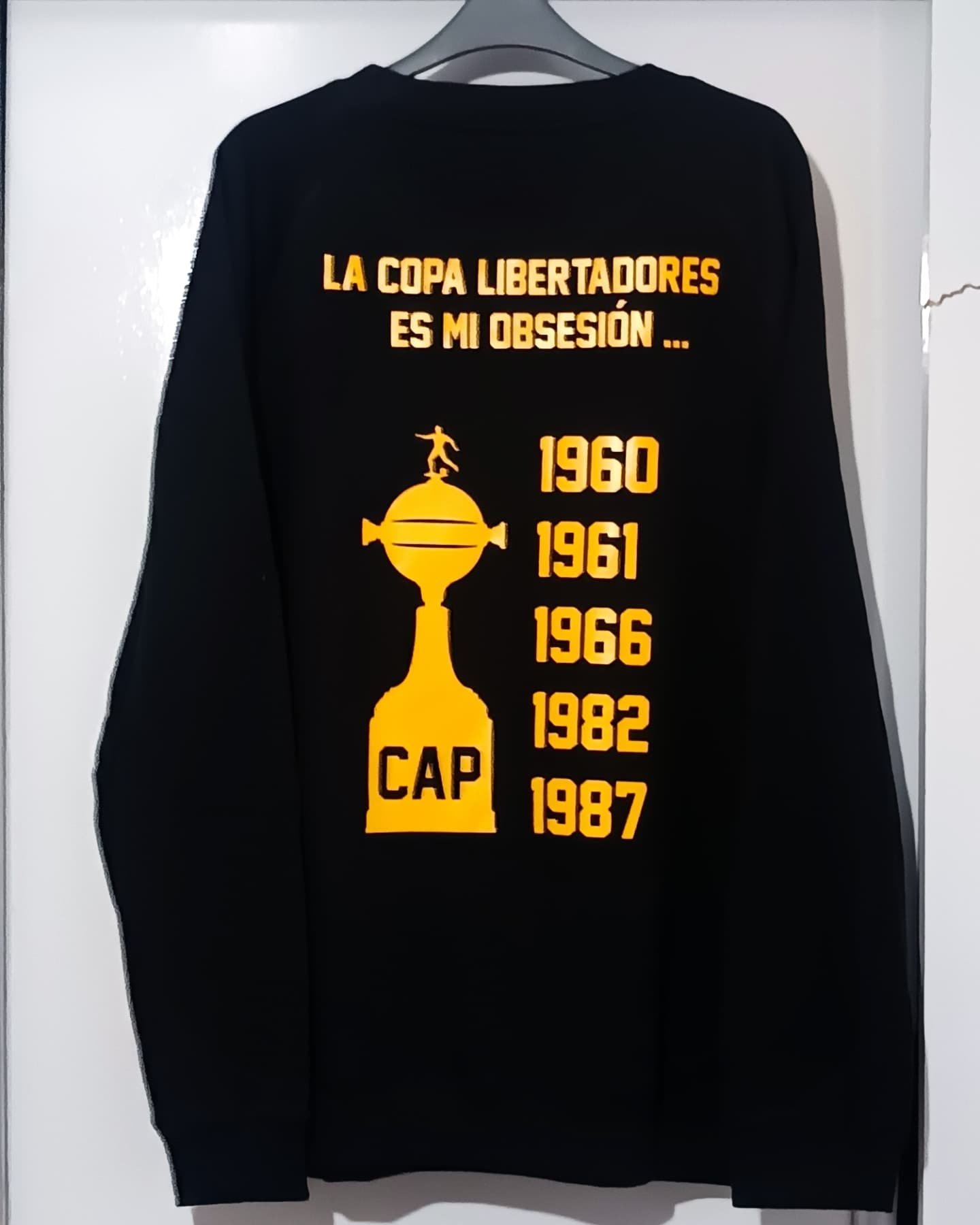 Buzo Peñarol  copa libertadores 