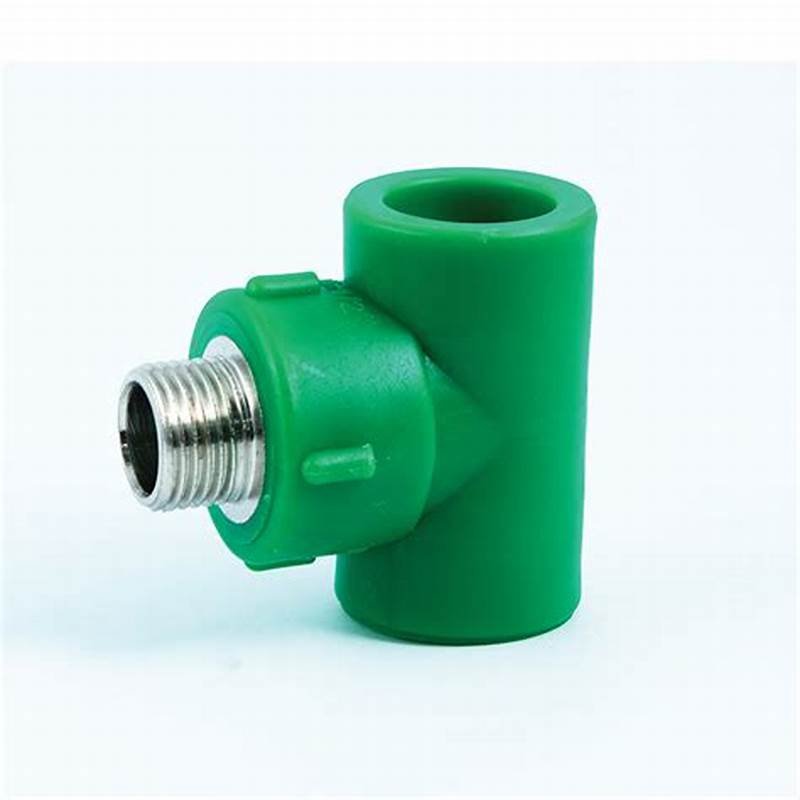 TE INSERTO MACHO TERMOFU T20X1/2F IFAN